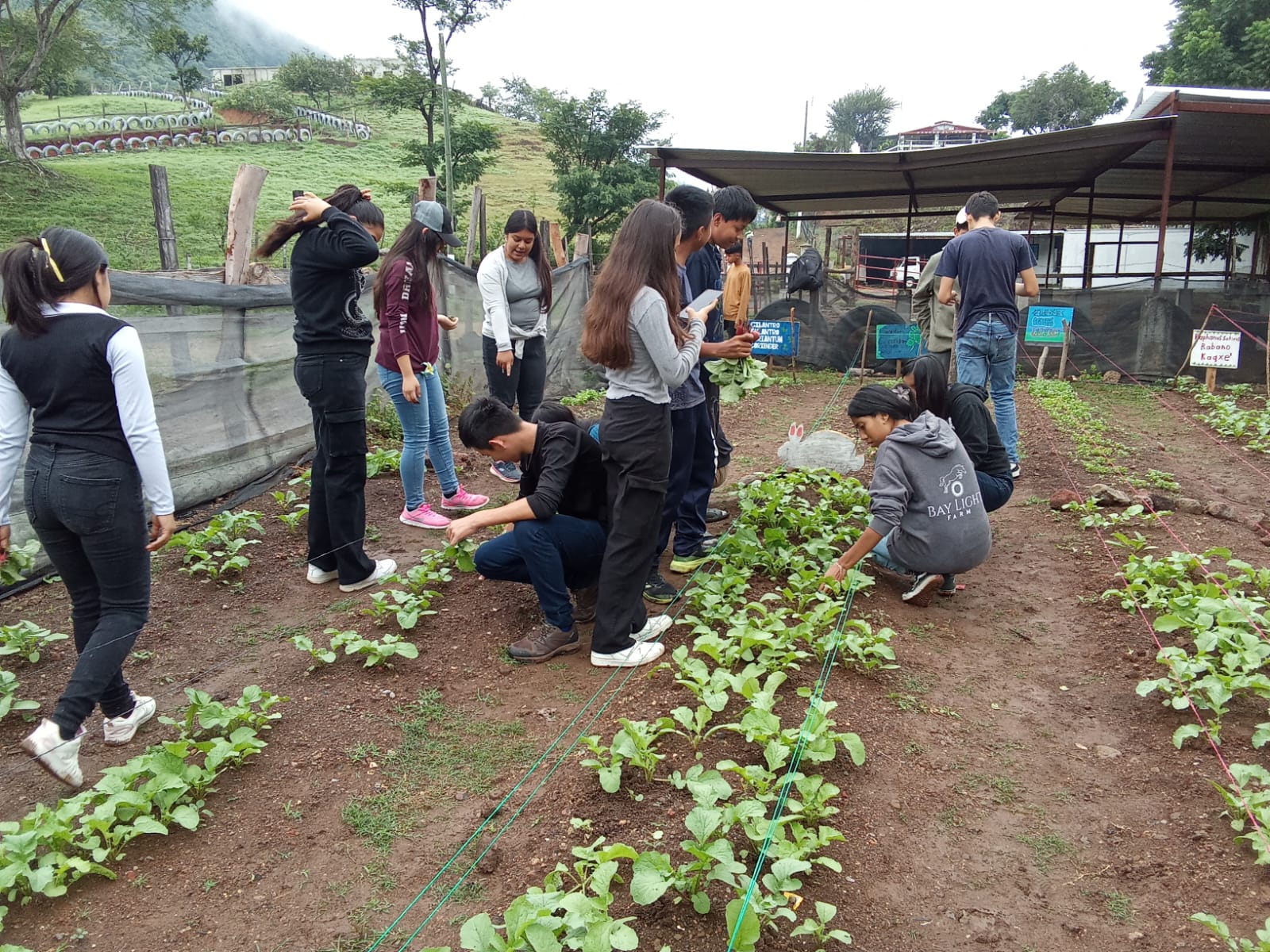 Youth empowerment